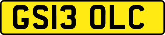 GS13OLC