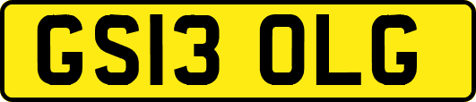 GS13OLG