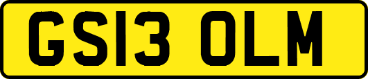 GS13OLM