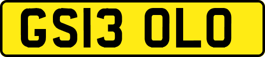 GS13OLO