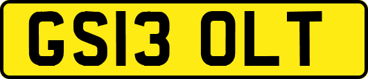 GS13OLT