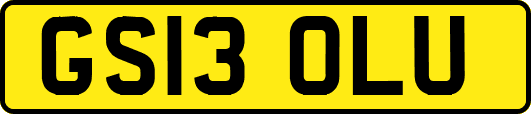 GS13OLU