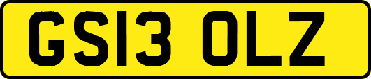 GS13OLZ