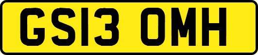 GS13OMH