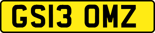 GS13OMZ