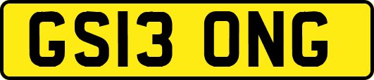 GS13ONG