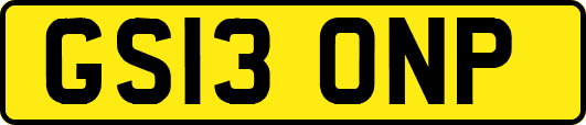 GS13ONP