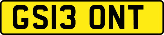 GS13ONT