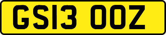 GS13OOZ