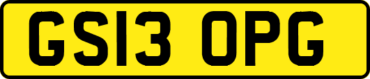 GS13OPG