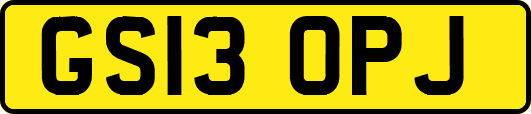 GS13OPJ