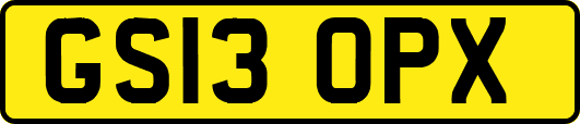 GS13OPX