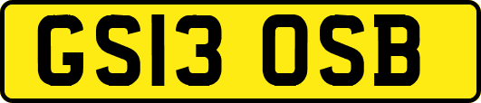 GS13OSB