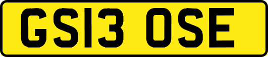 GS13OSE