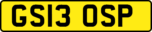 GS13OSP