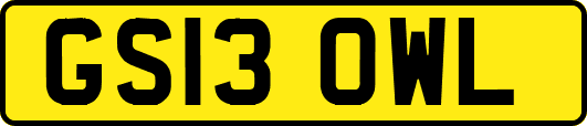 GS13OWL