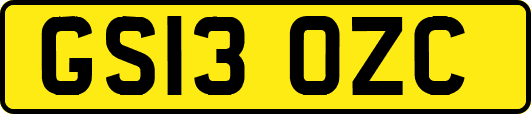 GS13OZC