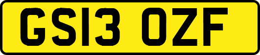 GS13OZF