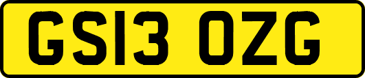 GS13OZG