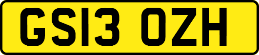 GS13OZH