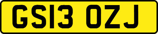 GS13OZJ