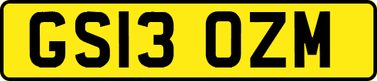 GS13OZM