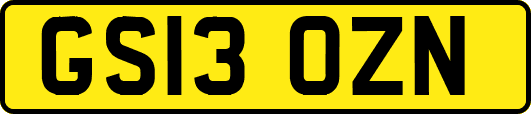 GS13OZN