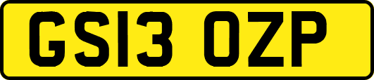 GS13OZP