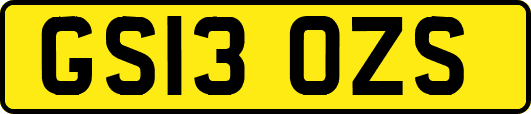 GS13OZS
