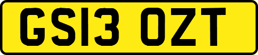 GS13OZT