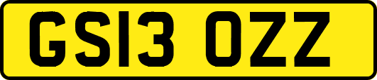 GS13OZZ