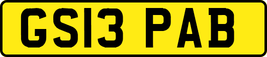 GS13PAB