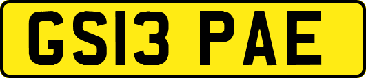 GS13PAE