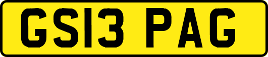 GS13PAG