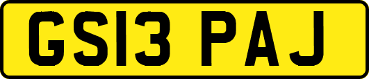 GS13PAJ