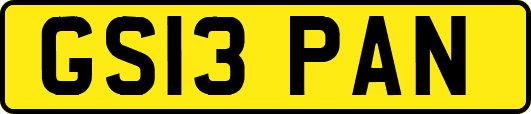 GS13PAN