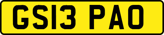 GS13PAO