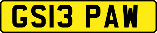 GS13PAW