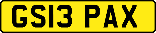 GS13PAX