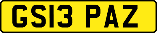 GS13PAZ