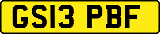 GS13PBF