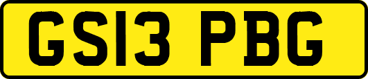 GS13PBG