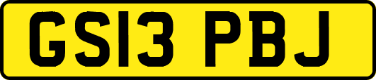 GS13PBJ