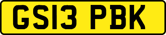 GS13PBK