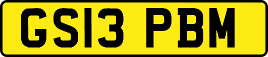 GS13PBM