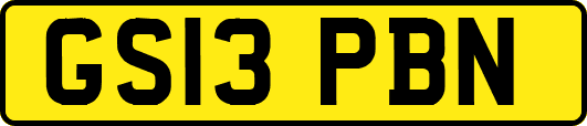 GS13PBN