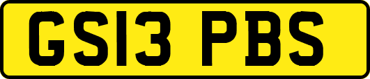 GS13PBS