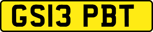 GS13PBT