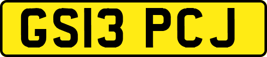 GS13PCJ