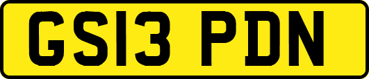 GS13PDN